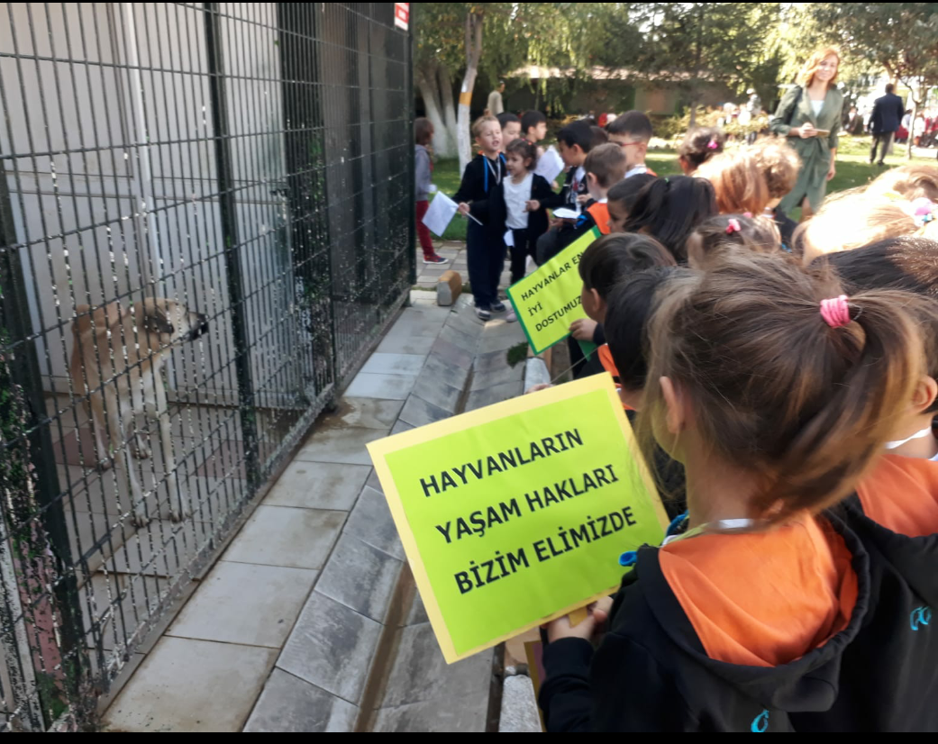 Etkin Kolej | ''Hayvanları Koruma Günü'' Anaokulu Gezisi